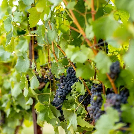 Hotel Valverde Hotel&spa - Relais&châteaux Santar