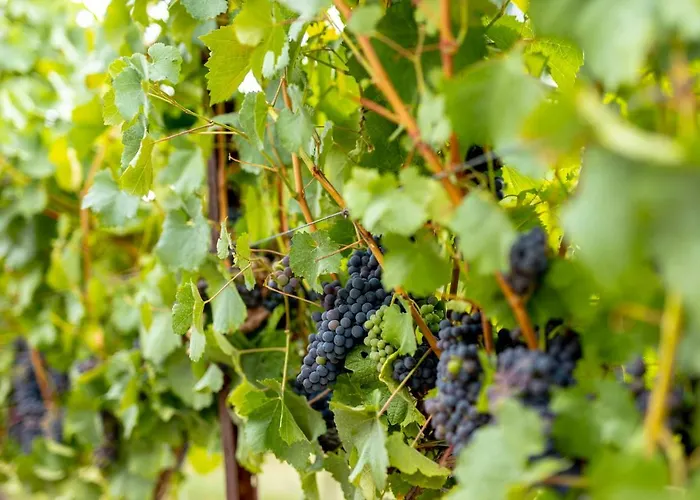 Hotel Valverde & - Relais & Chateaux Santar