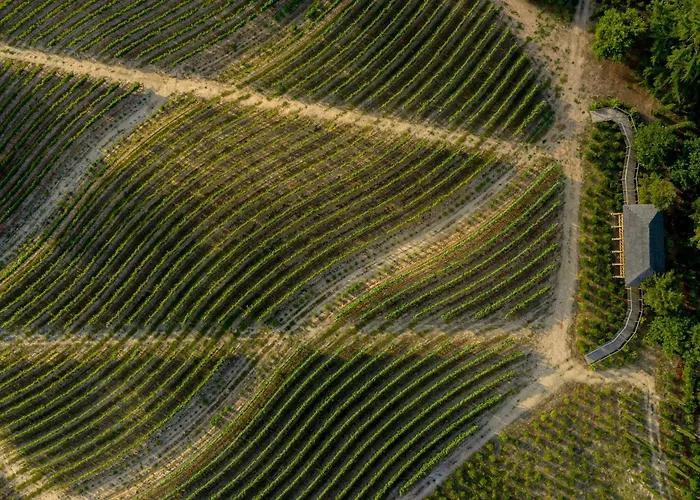 Отель Valverde & - Relais & Chateaux Сантар